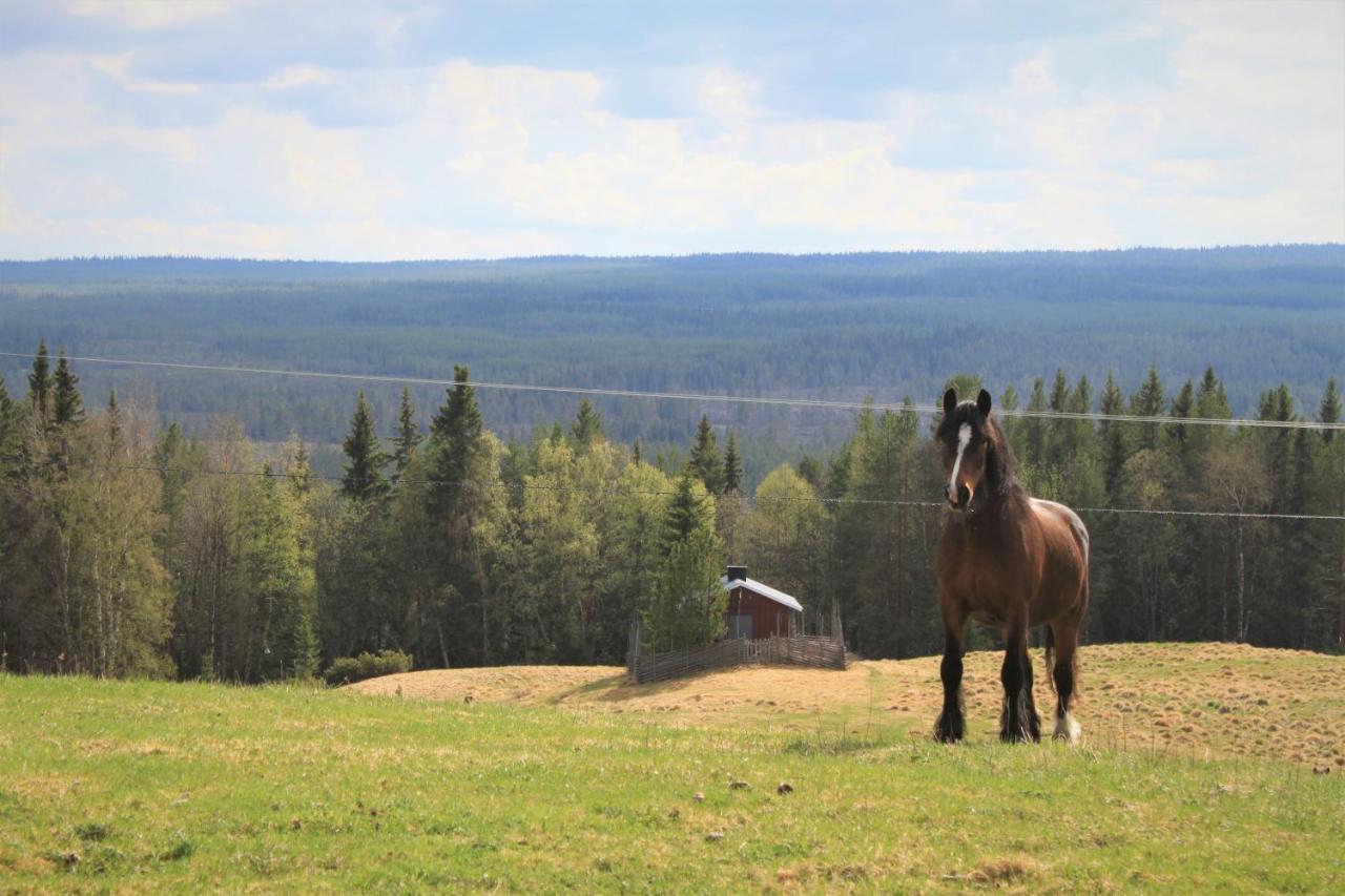 Backens Fjaellboende Tännäs Екстериор снимка